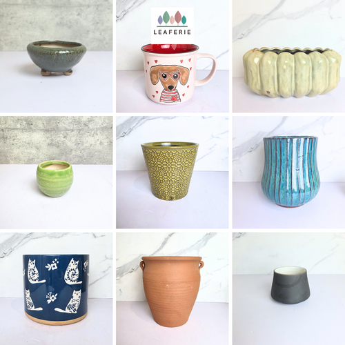 As-is Sept 25. ceramic pots and mugs with Leaferie logo.