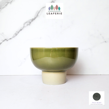 Load image into Gallery viewer, The Leaferie Olive green ceramic pot
