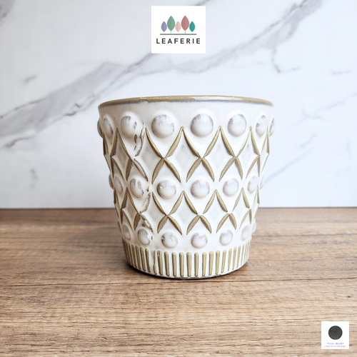 The Leaferie Nava white ceramic pot.