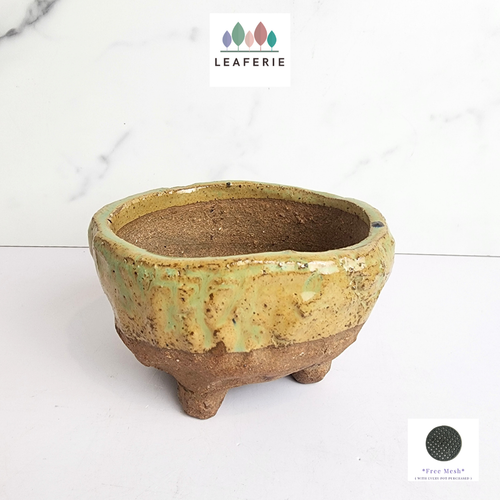 The Leaferie Handmade MILA pot. terracotta material