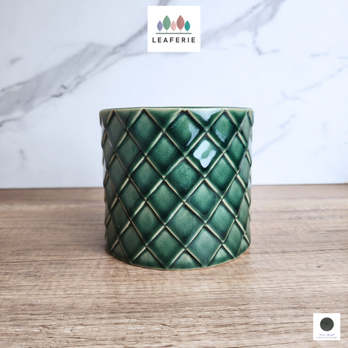 The Leaferie Zivaa Green criss cross ceramic pot