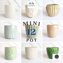 Load image into Gallery viewer, Mini Flowerpot (Series 12)
