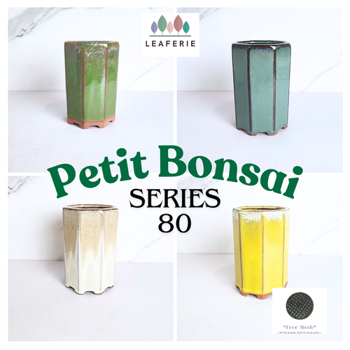 The Leaferie Bonsai Series 80. 4 colours ceramic material