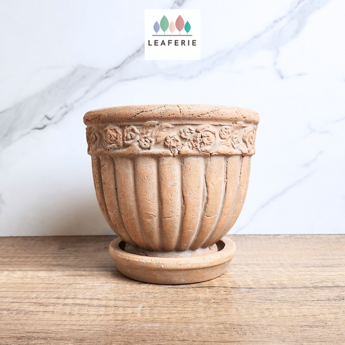 The Leaferie Philomel terracotta pot with tray.