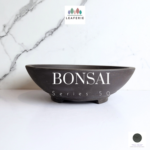 The Leaferie Bonsai pot series 50. 3 sizes zisha pots.