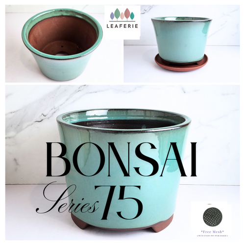The Leaferie Bonsai Serie 75 (3 Sizes) ceramic pot