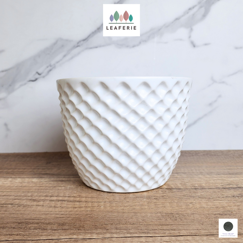 The Leaferie Maeve white ceramic pot