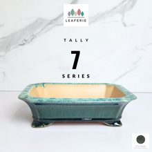 Load image into Gallery viewer, The Leaferie Bonsai Tally Series 7. green rectangular pot.
