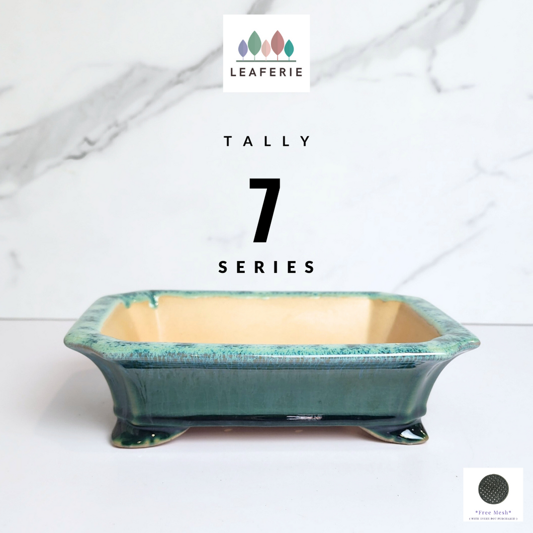 The Leaferie Bonsai Tally Series 7. green rectangular pot.