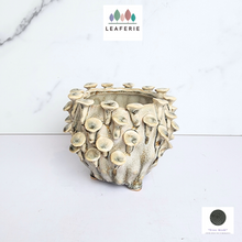 Load image into Gallery viewer, The Leaferie Handmade Moti Flowerpot. ceramic material
