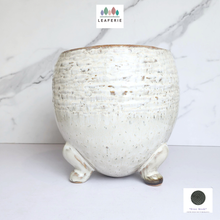 Load image into Gallery viewer, The Leaferie Arnold ceramic pot with legs
