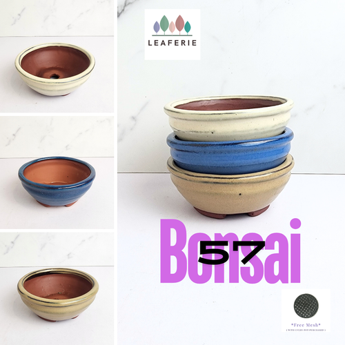 The Leaferie Bonsai pot (Series 57) 3 colours ceramic pot. 