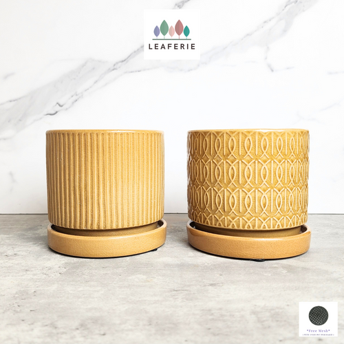 The Leaferie Madigan yellow flowerpot with matching tray. ceramic material