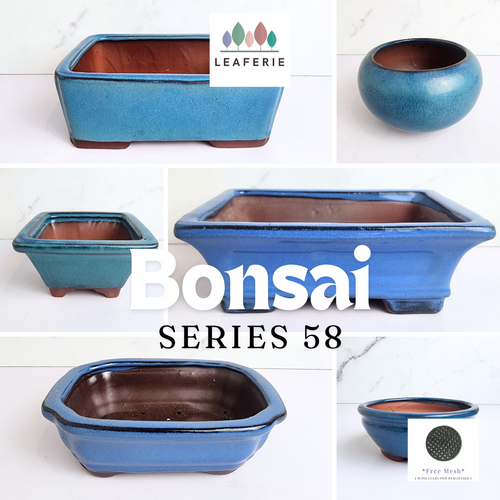 The Leaferie bonsai series 58 blue range 6 designs