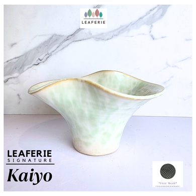 Kaiyo Leaferie Signature Ceramic planter with gold rim 