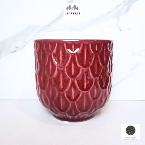 The Leaferie Sierra red ceramic pot