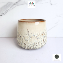 Load image into Gallery viewer, The leaferie Eggum beige ceramic pot
