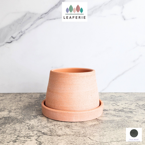The Leaferie Ylva terracotta pot with tray
