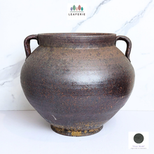 Load image into Gallery viewer, The Leaferie Artemis Flowerpot. Dark colour with gold trims and handle
