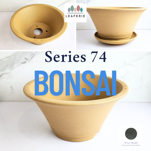 The Leaferie Bonsai Series 74. yellow zisha pot. 2 sizes. purplesand