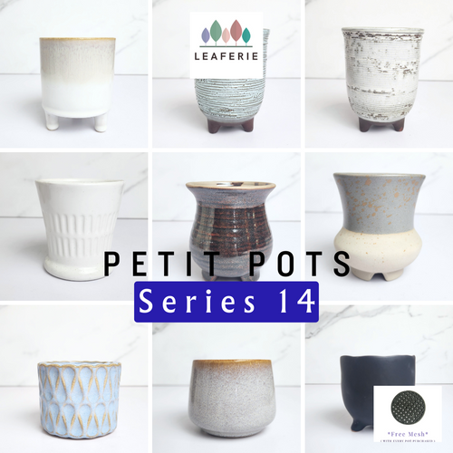The Leaferie Petit Pots (series 14) 9 designs of small pots