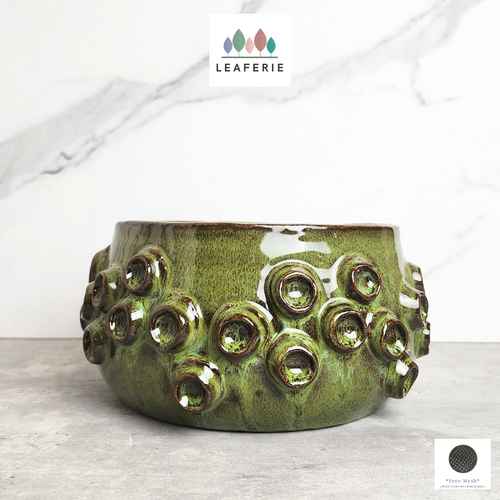 The Leaferie Harper shallow pot. ceramic green colour