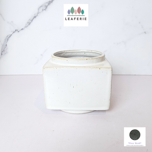 The Leaferie Aubrey square white pot.ceramic material