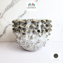 Load image into Gallery viewer, The Leaferie Handmade Luna pot. ceramic material
