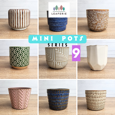 The Leaferie Mini pots Series 9. 9 designs ceramic pot.