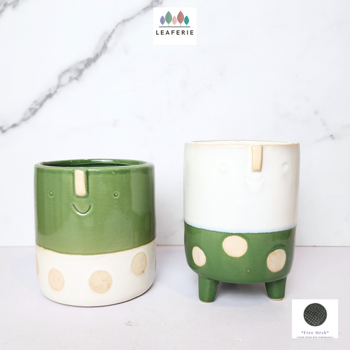 The Leaferie Mikkola flowerpot . 2 designs face design ceramic pot.