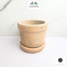 Load image into Gallery viewer, The Leaferie Yaritza Terracotta pot with tray
