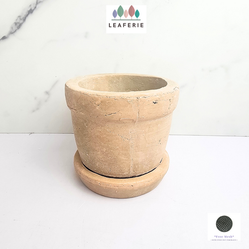 The Leaferie Yaritza Terracotta pot with tray