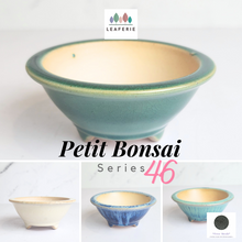 Load image into Gallery viewer, The Leaferie Petit bonsai series 46. 3 colours bonsai pots
