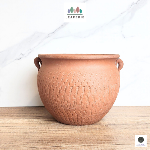 The Leaferie Elvire Terracotta Pot with handle
