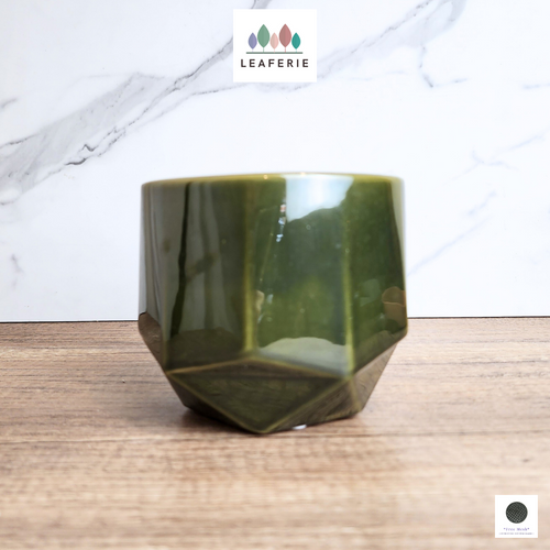 The Leaferie Sarah green flowerpot. ceramic material