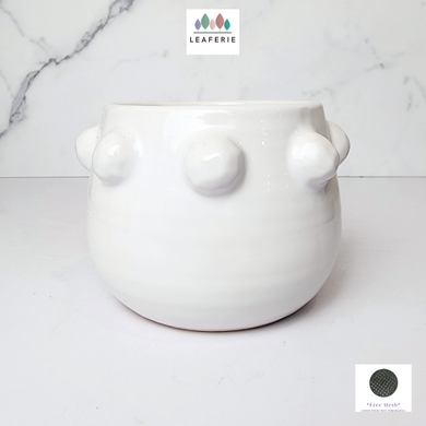 The Leaferie Salo white ceramic pot with studs.