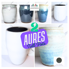 Load image into Gallery viewer, Aures Tall Flowerpot (Series 2)
