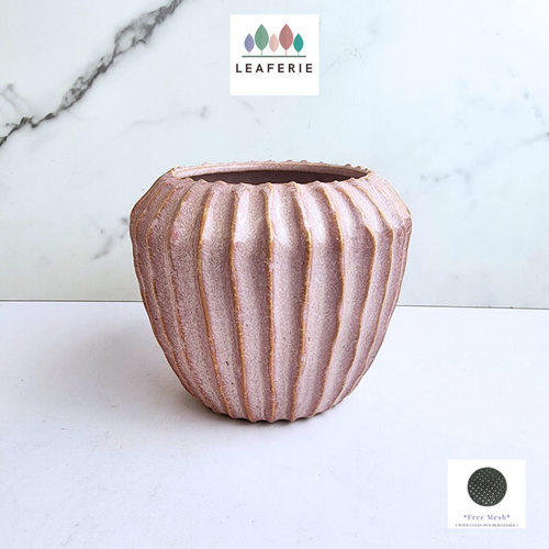 The Leaferie Talia pink ceramic pot