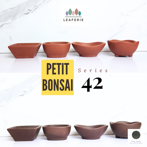 The Leaferie Petit Bonsai Series 42. 4 designs in each set