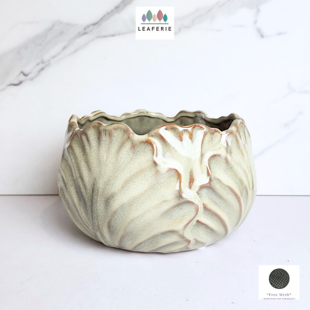 The Leaferie Kolden Shallow pot. ceramic material and beige colour.