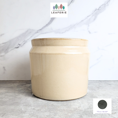 The Leaferie Elka milk beige colour ceramic pot.