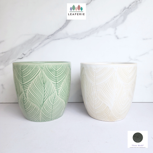 The Leaferie Lewis ceramic pot. 2 colours green and white