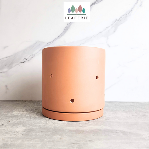 The Leaferie terracotta E Pot with holes. comes in 2 sizes