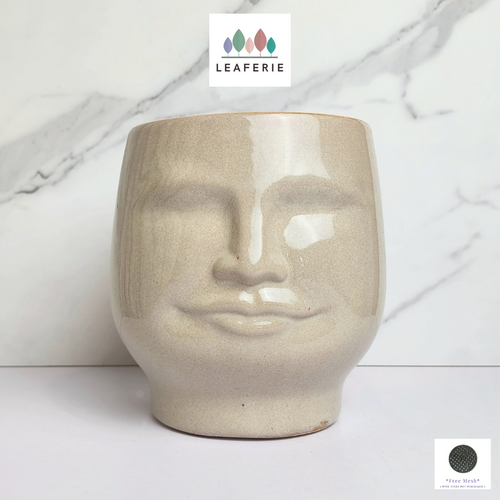 The Leaferie Mali Flowerpot. face ceramic pot.