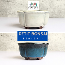 Load image into Gallery viewer, The Leaferie Petit Bonsai Series 1. 2 colours. ceramic mini pot for bonsai. Front view of 2 colours, white and blue
