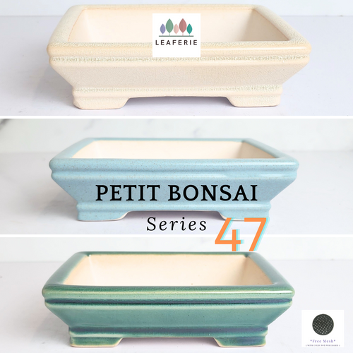 The Leaferie Petit bonsai series 47. 3 colours rectangular bonsai pot