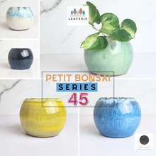 Load image into Gallery viewer, The Leaferie Petit Bonsai series 45. 5 colours ceramic pot for succulents
