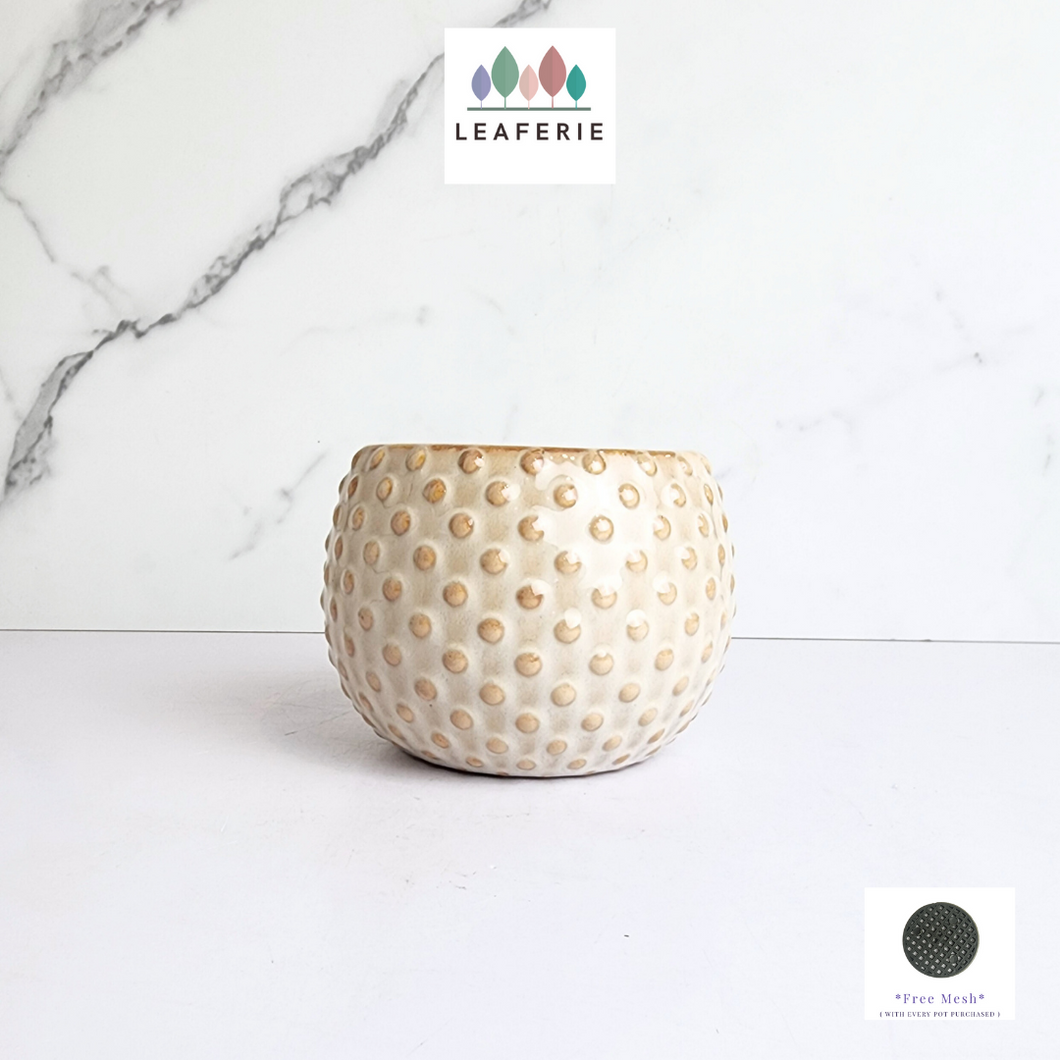 The Leaferie Cedro beige ceramic pot. small planter