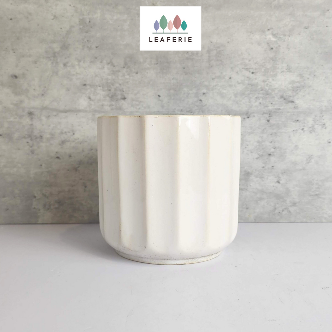 The Leaferie Kanji white ceramic pot