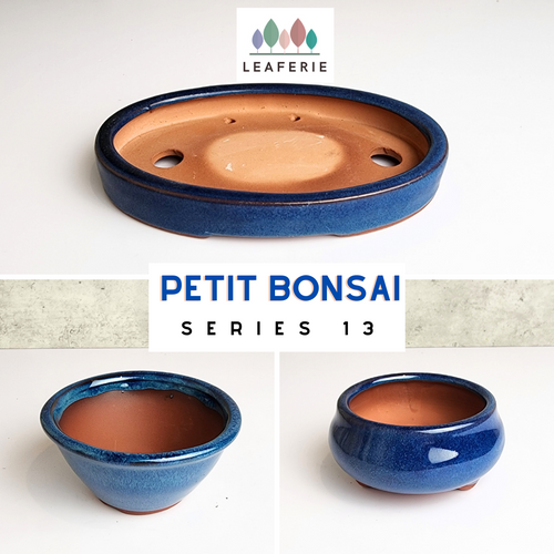 The Leaferie Petit Bonsai series 13 . 3 designs. blue theme bonsai pots. ceramic planter. photo of all 3 designs